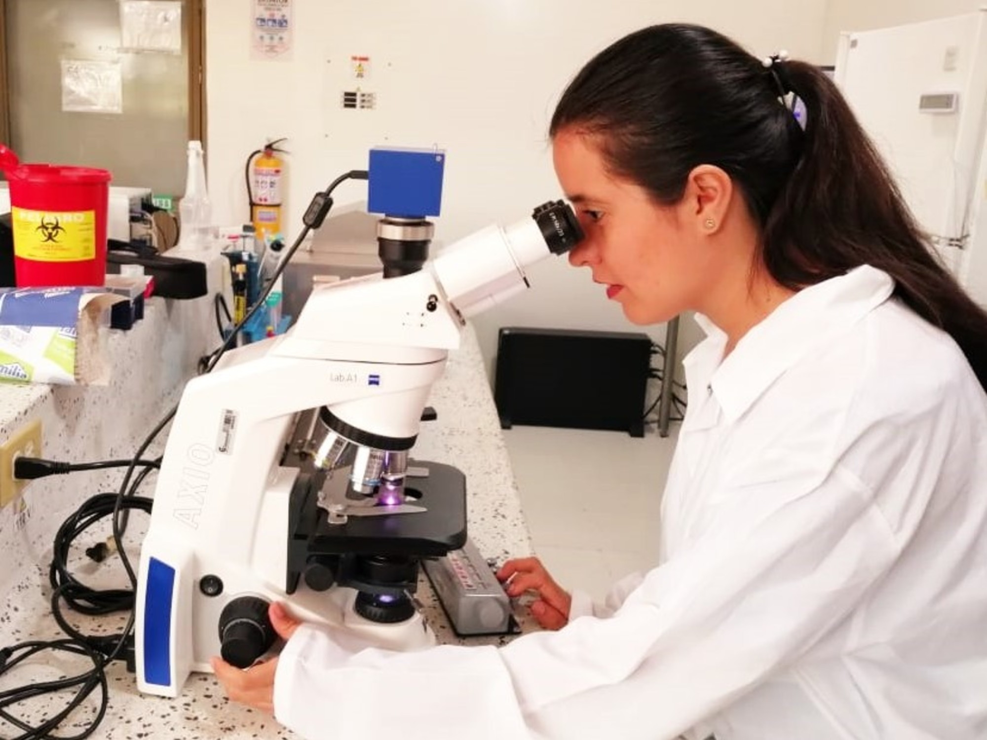 Evaluación reproductiva de toretes: Un paso clave durante la selección de reproductores Sanmartinero mediante pruebas de desempeño