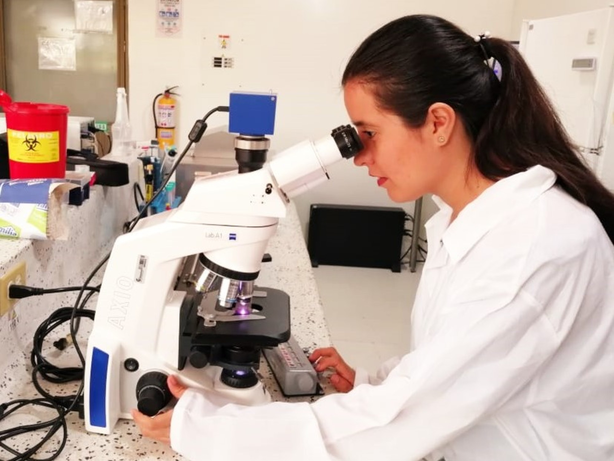 Evaluación reproductiva de toretes