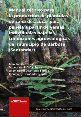 Caña