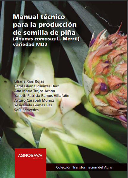 Piña