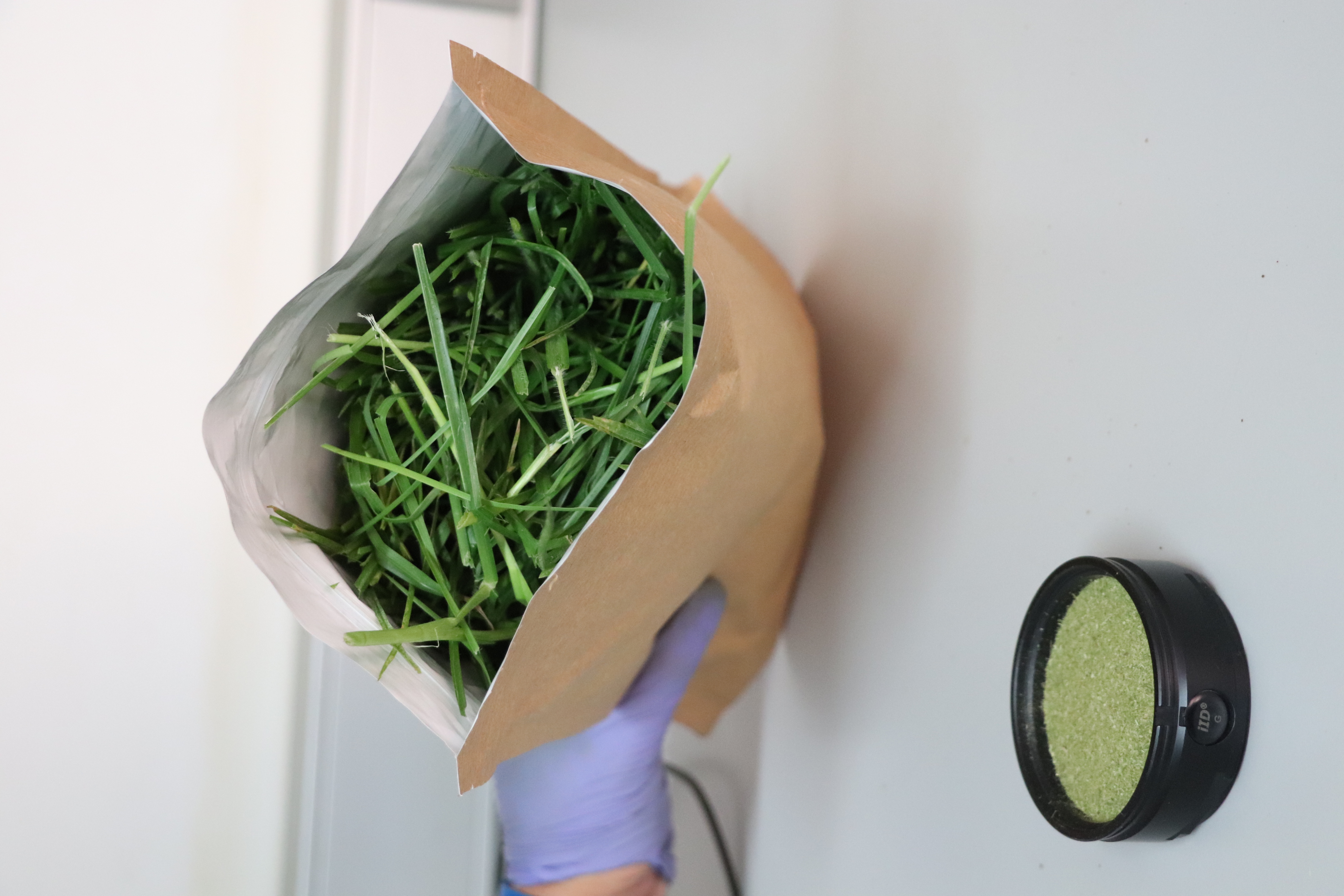 NIRS technology for nutritional composition of tropical forages
