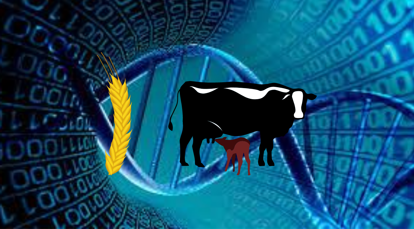 Aportes en bioinformática para el desarrollo del sector agropecuario