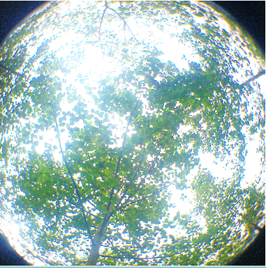 Fotografías hemisféricas Centro de Investigación Obonuco