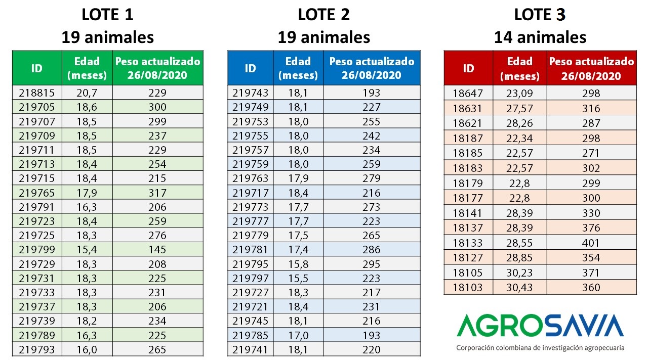 Imagen 1 Tablas Info Animales