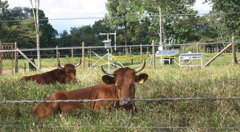 Las emisiones de GEI en los sistemas agrícolas