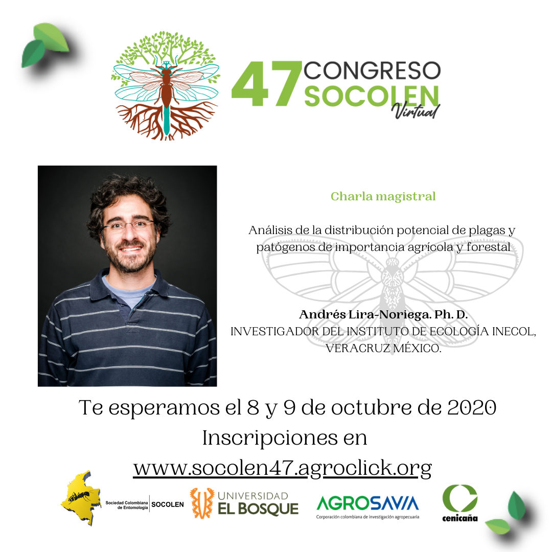 Socolen Andres Lira 6