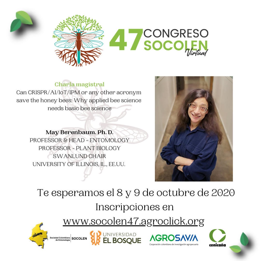 Socolen May Berenbaum 3