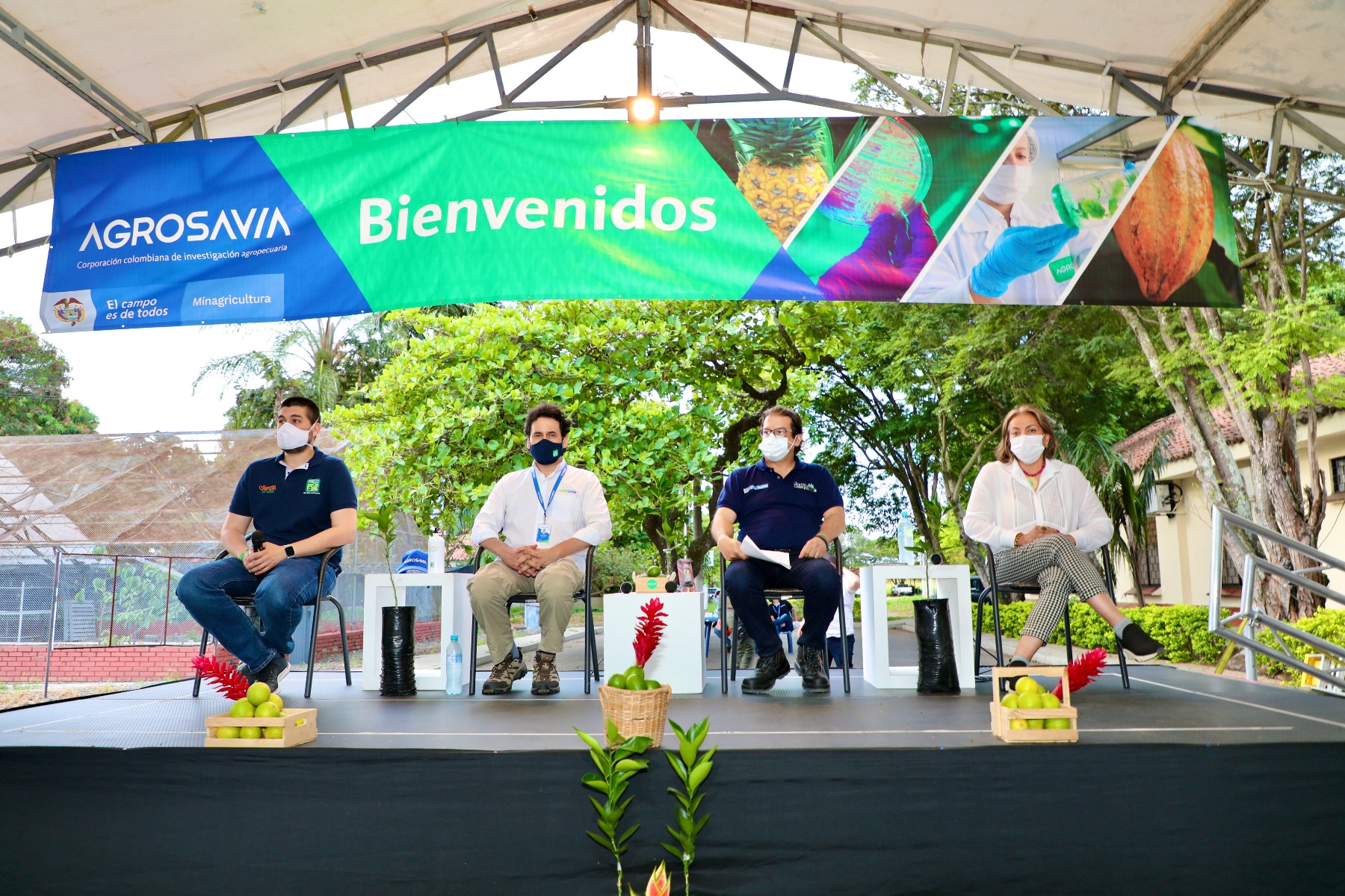 Primera entrega de material de siembra de cítricos certificado como libre de enfermedades y patógenos de importancia económica en el país