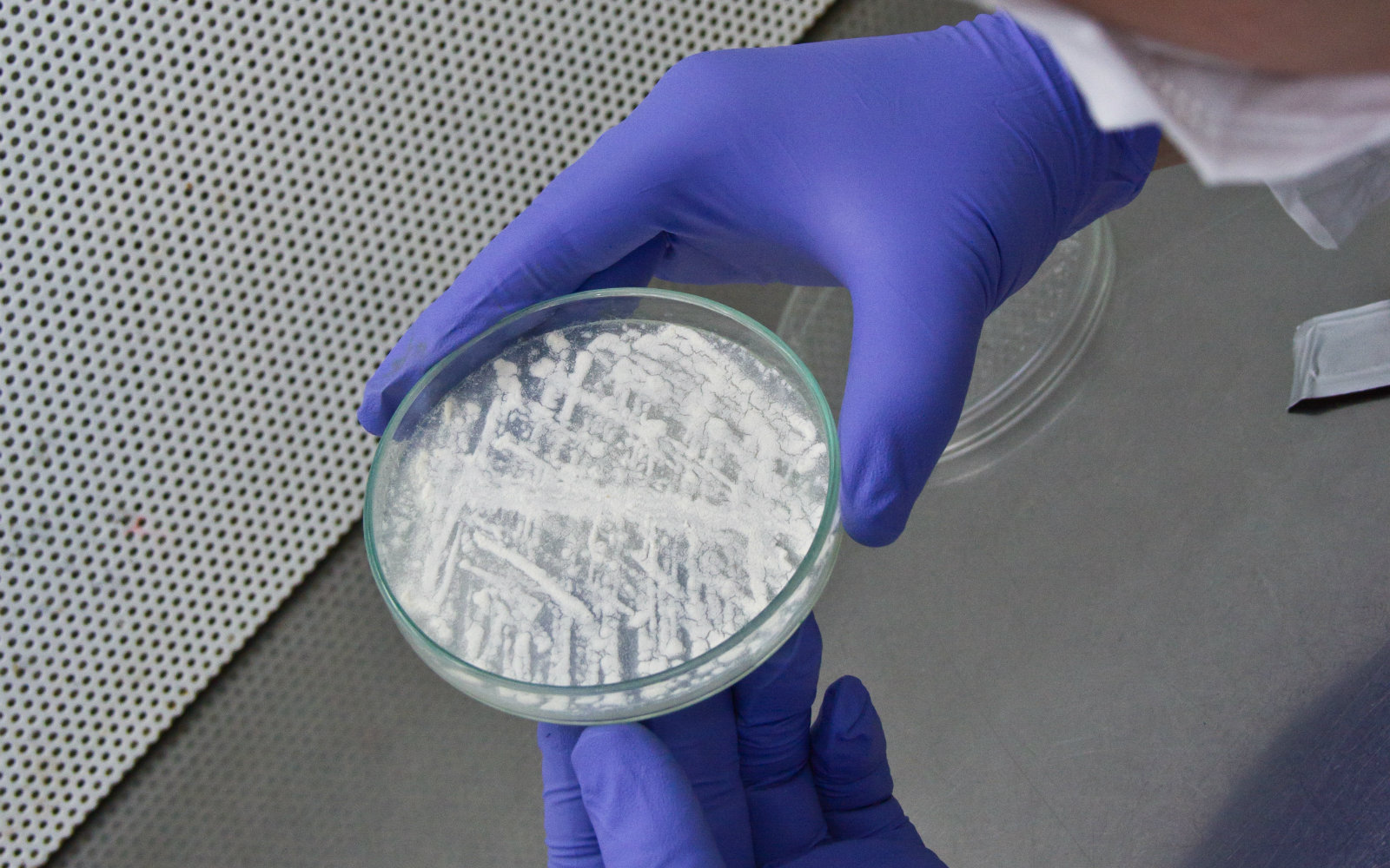 Ciencia sin fronteras