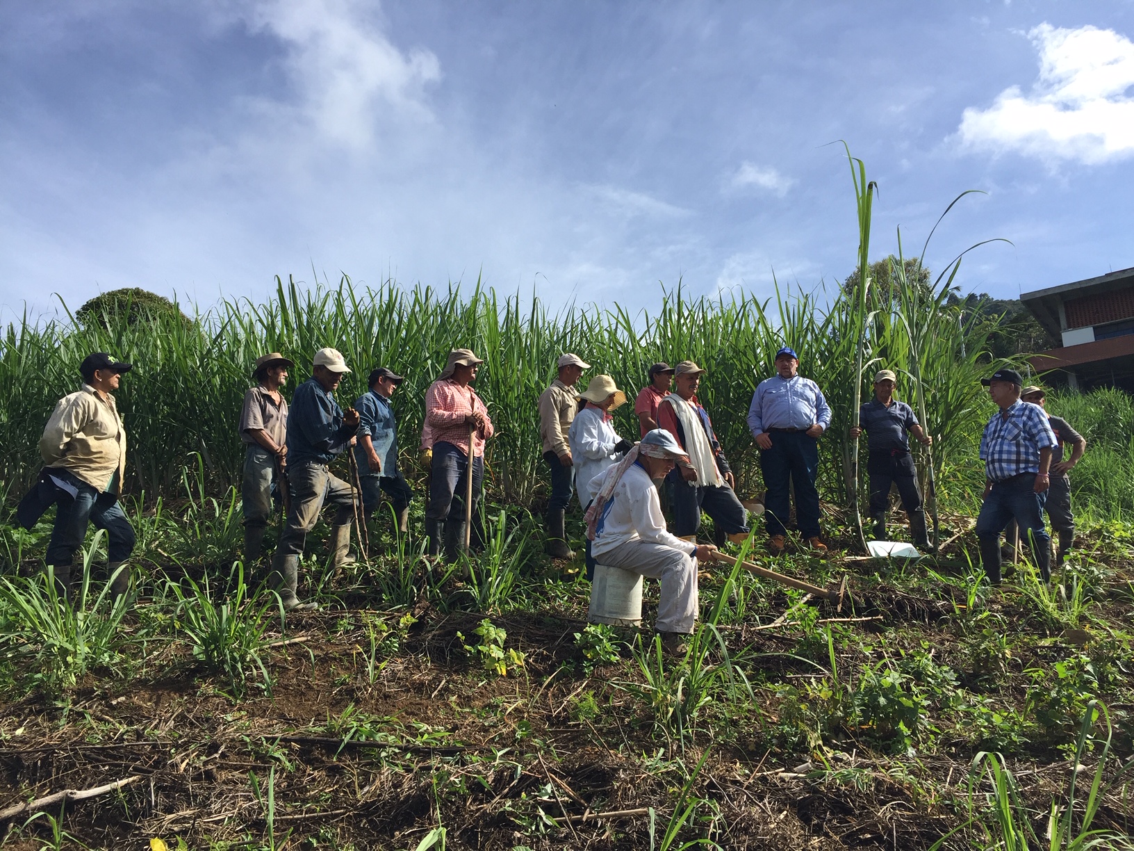 AGROSAVIA fortaleció el Renacer Panelero de los cañicultores en el corregimiento de San Sebastián de Palmitas en Medellín