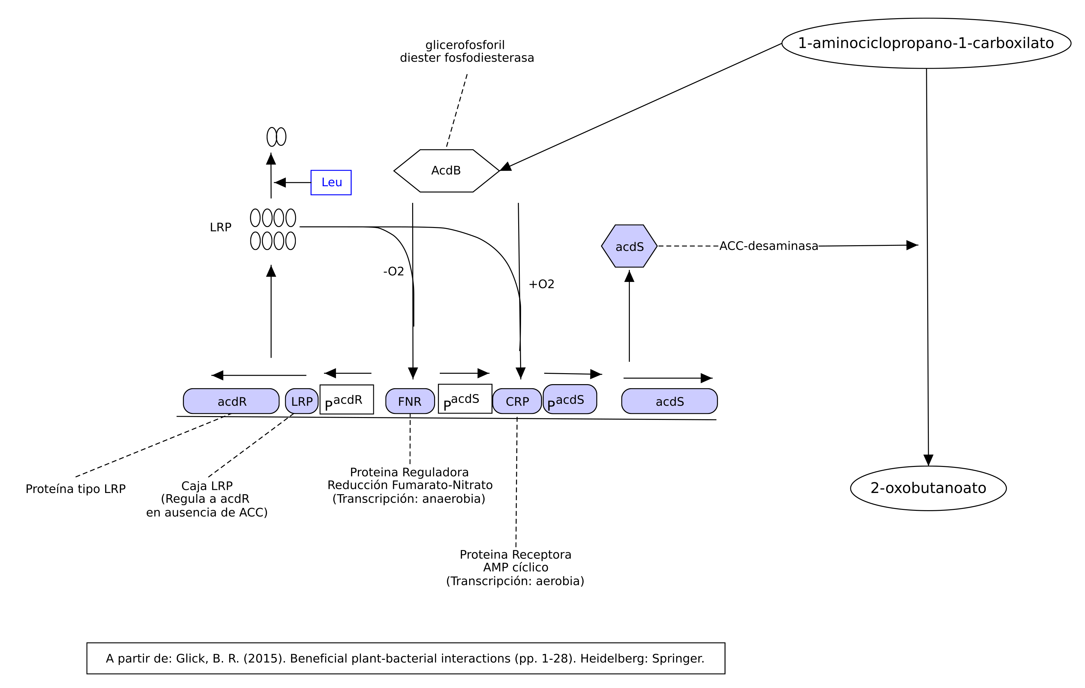 C47 Accd Png