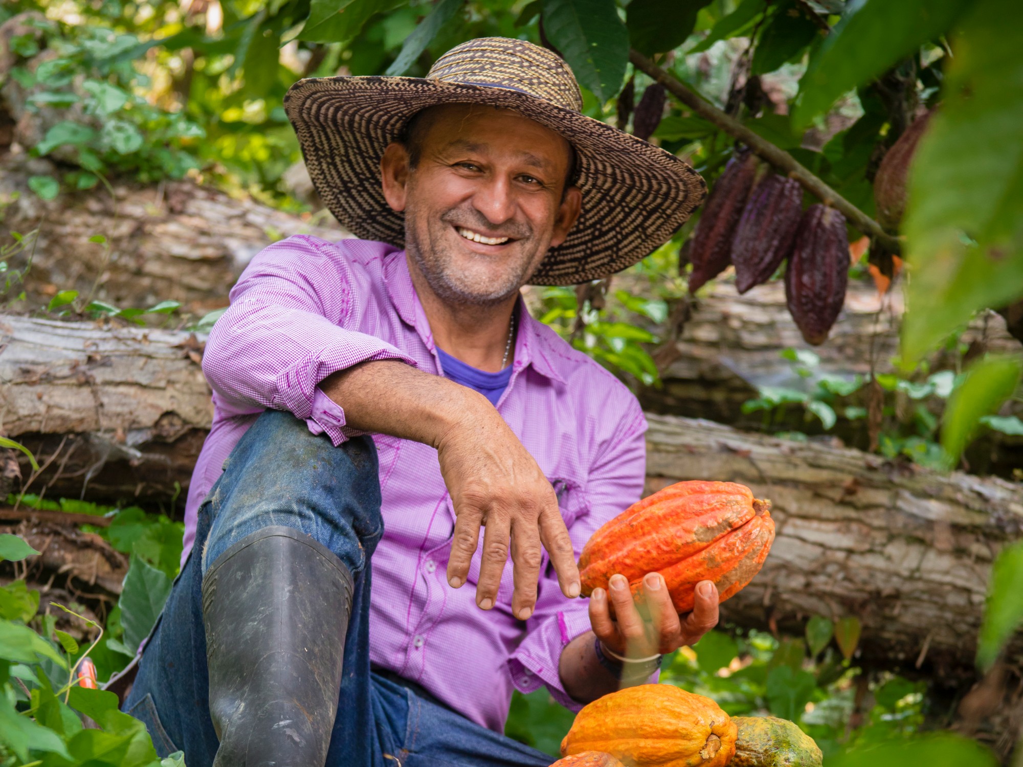 Beneficiando con conocimiento y tecnologías al sector agropecuario