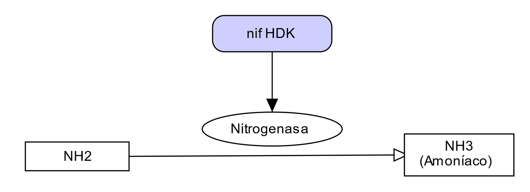 Nitrogeno