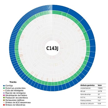 C143J CIRCOS.Png