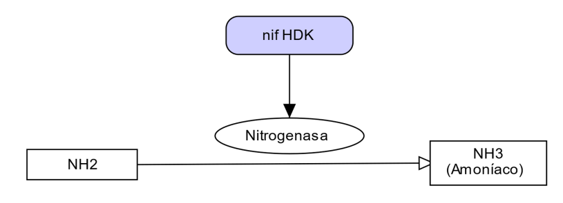 Nitrogeno (2)