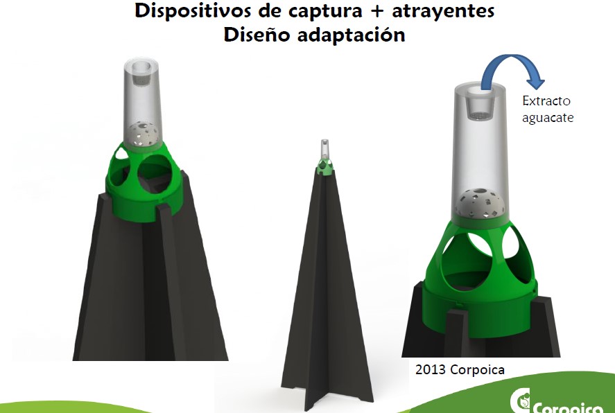 Monitoreo Aguacate 7