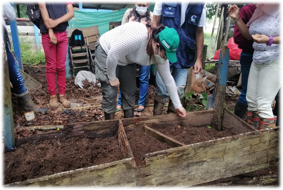 AGROSAVIA, Minagricultura y la Alcaldía de la Macarena, implementaron proyecto en 3
 Instituciones educativas rurales de la Macarena, con el propósito de contribuir
 a la protección y disminución de la deforestación de los bosques amazónicos