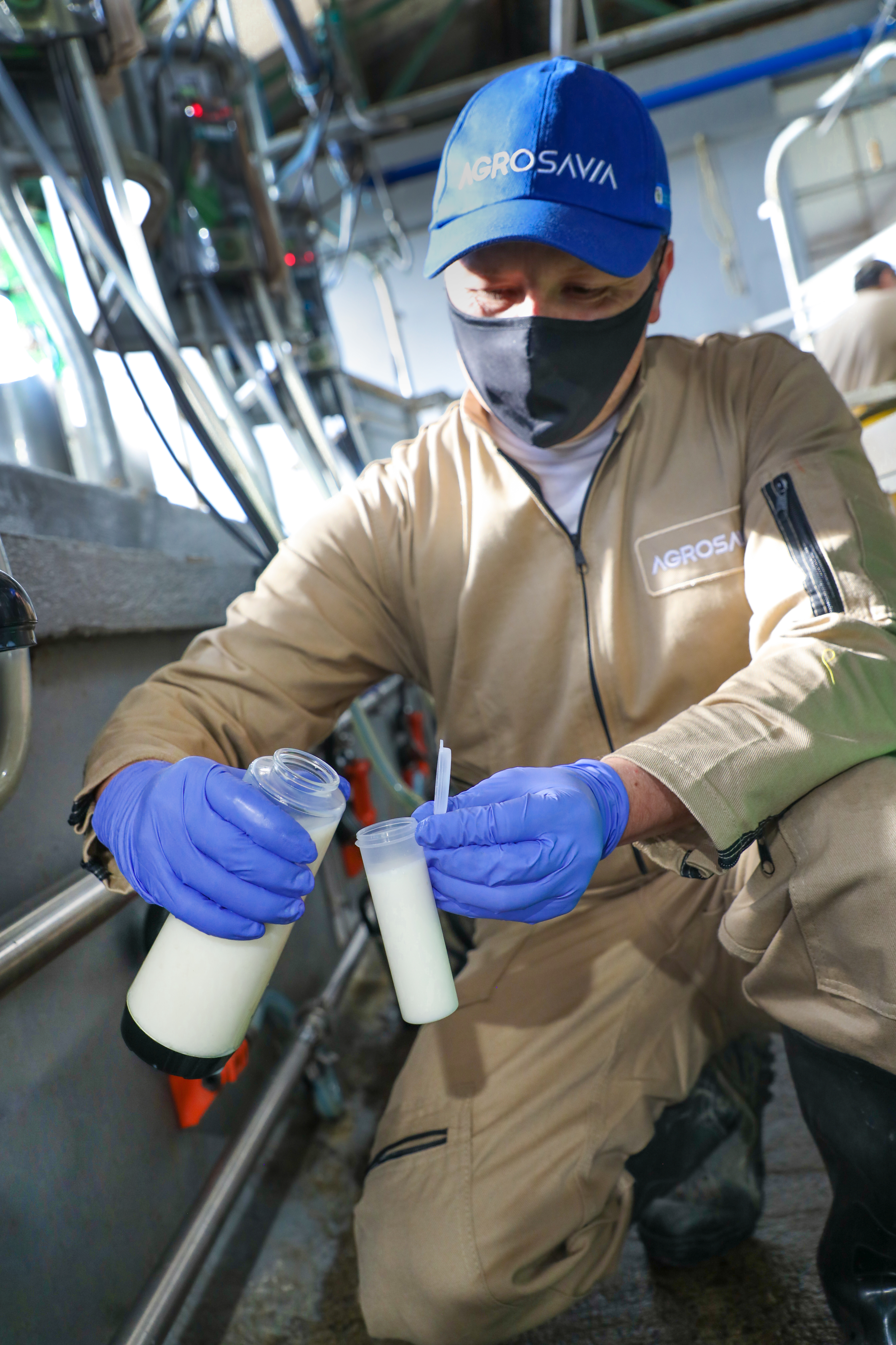 Toma De Muestras Leche BPG Ordeño 32