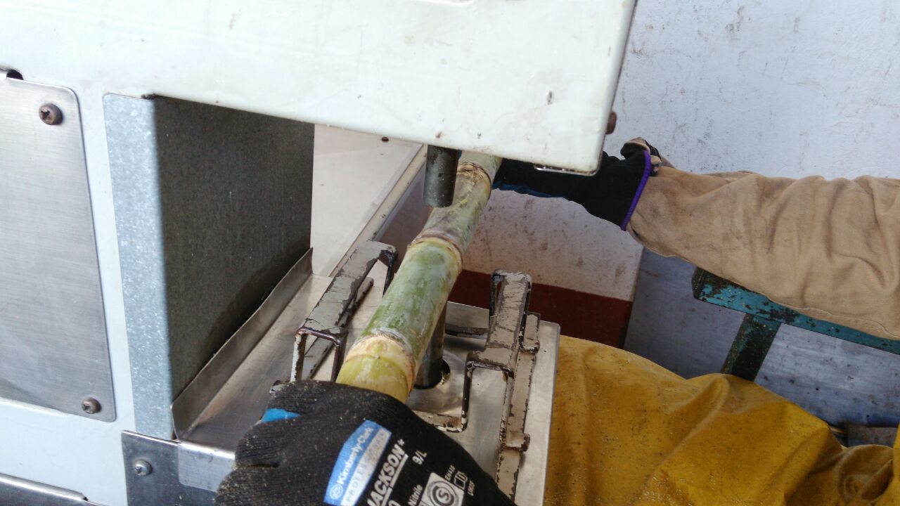 3 Máquina Extractora De Yemas