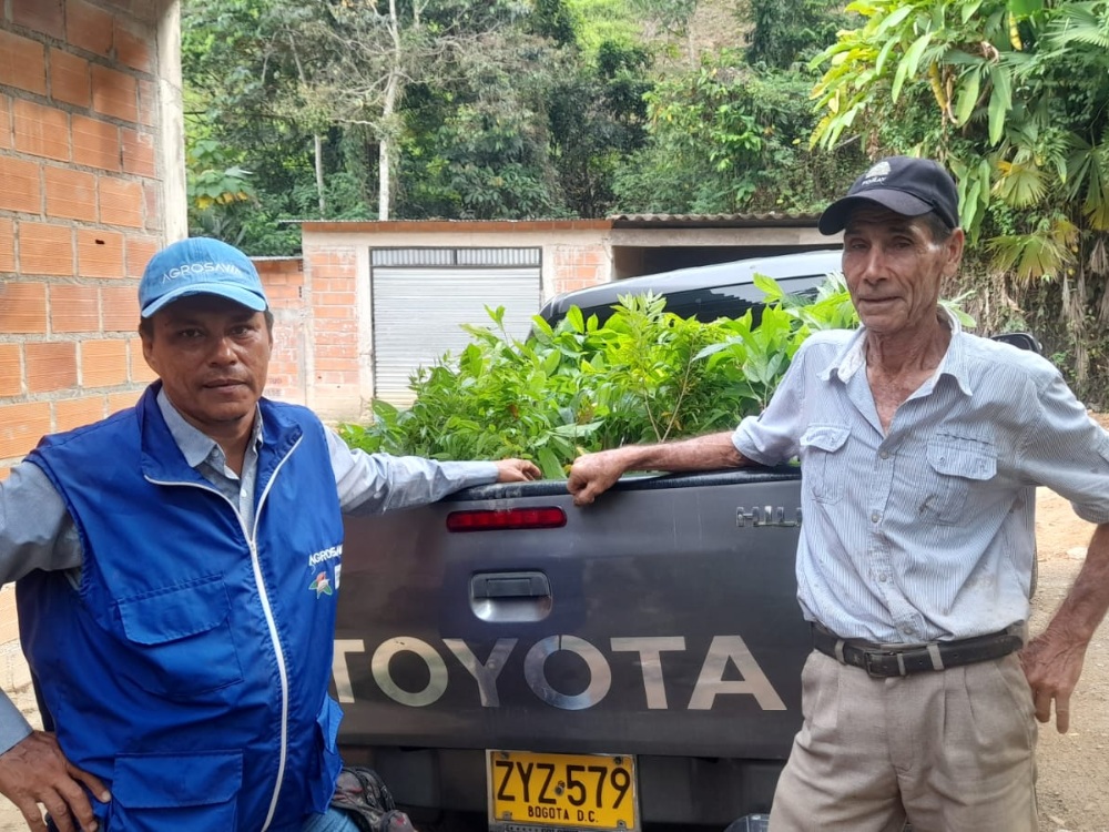 AGROSAVIA Entregó 2 Mil Árboles Maderables Y 40 Mil Plantas De Cacao En El Catatumbo8 AGROSAVIA