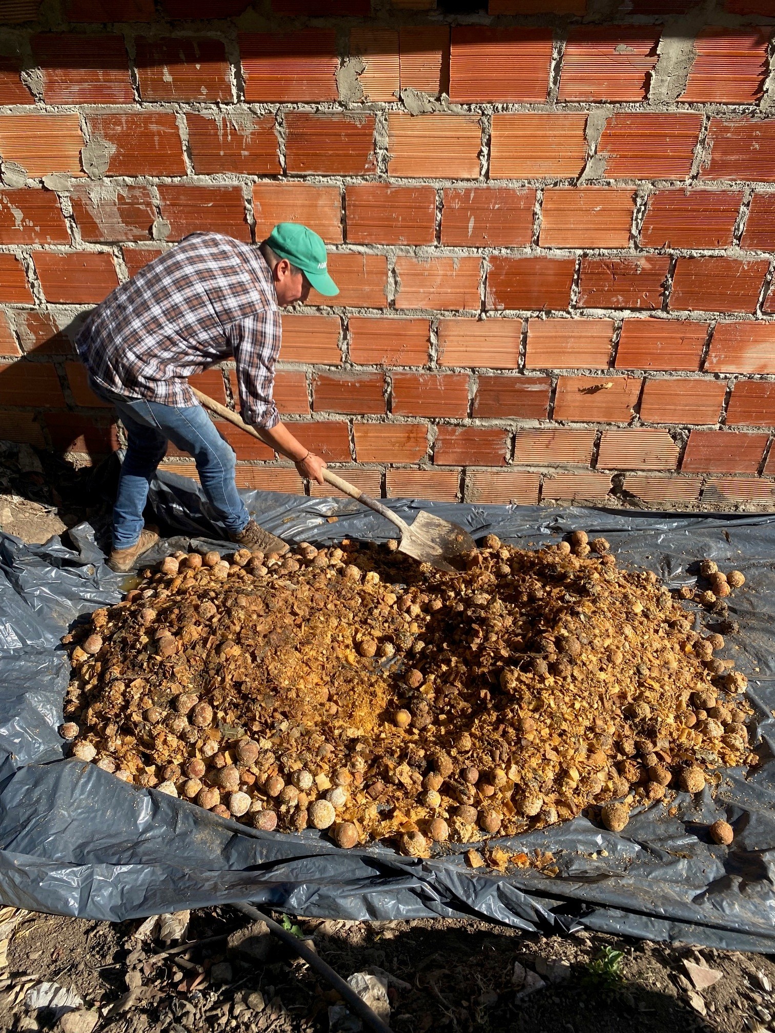 11. Compostaje Fruta