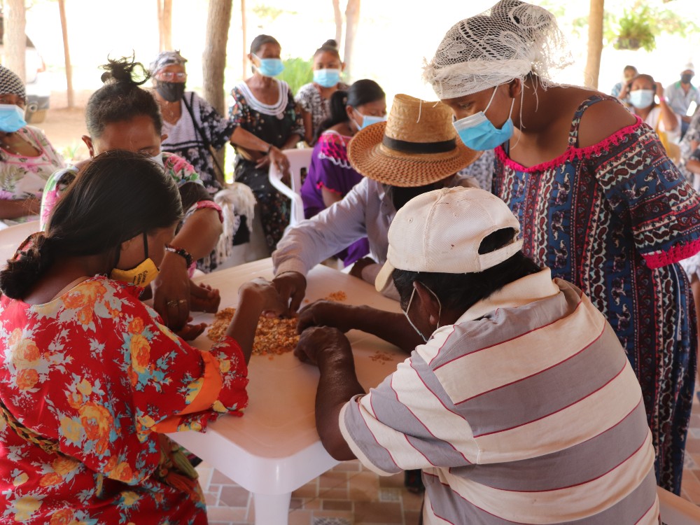 AGROSAVIA Identifica Técnicas Locales Para La Conservación De Semilla En La Guajira3 AGROSAVIA