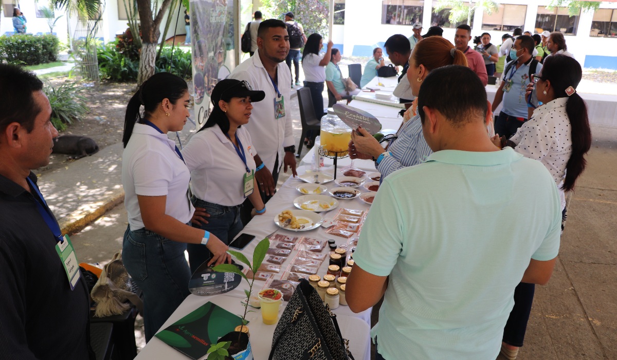 IMG 6497 Fotor 20250724154656