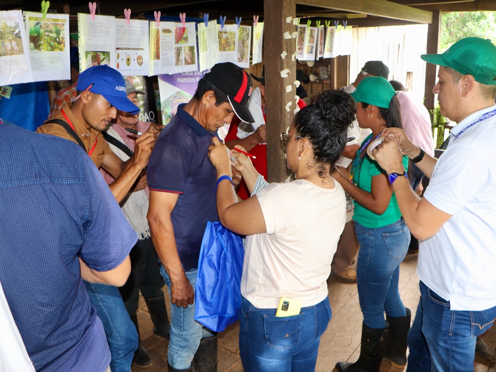 PV COMICACAO San Vicente3 AGROSAVIA