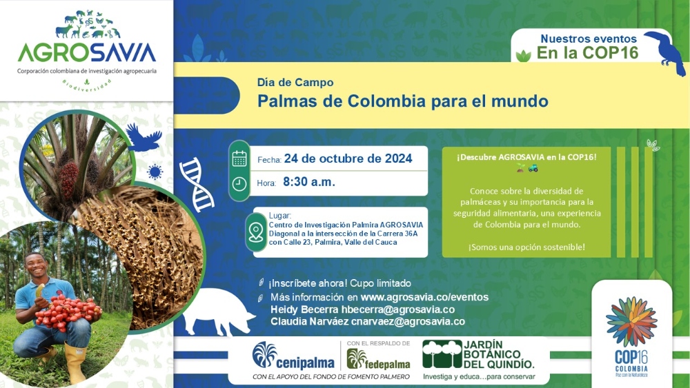 Colombia Presenta Alternativa Sostenible En Palmáceas En El Marco De La COP164 AGROSAVIA