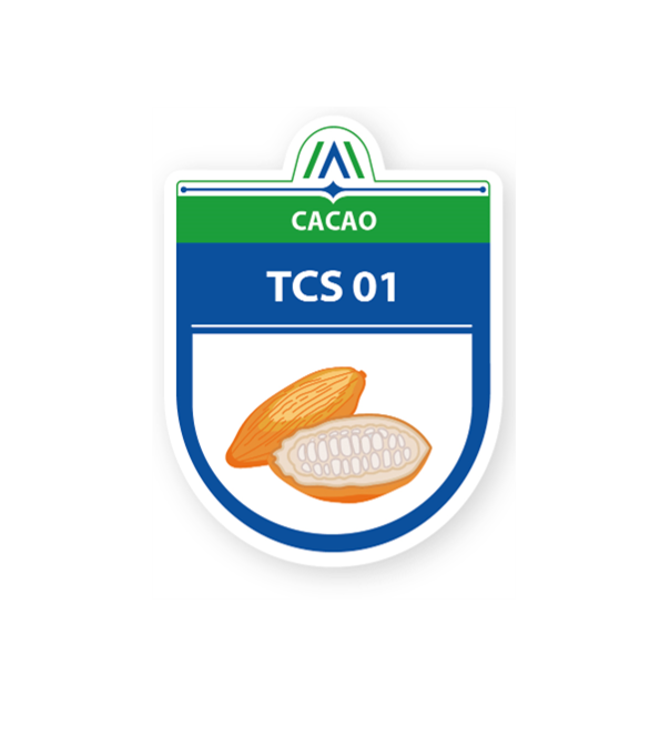 Clon de Cacao AGROSAVIA TCS-01