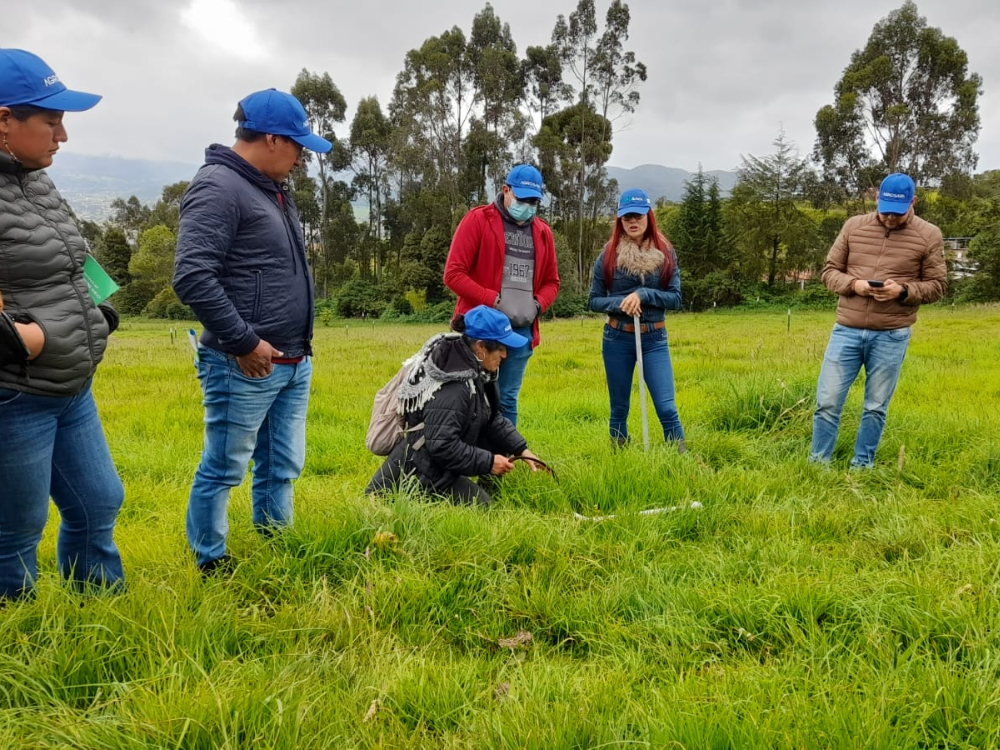 Cierre Convenio Suplementación2 AGROSAVIA