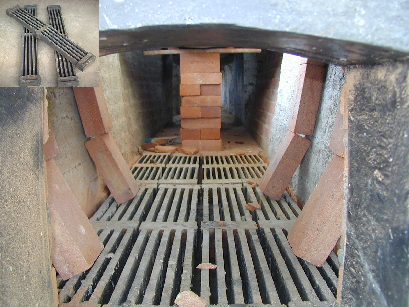 Banco De Imágenes AGROSAVIA (7)