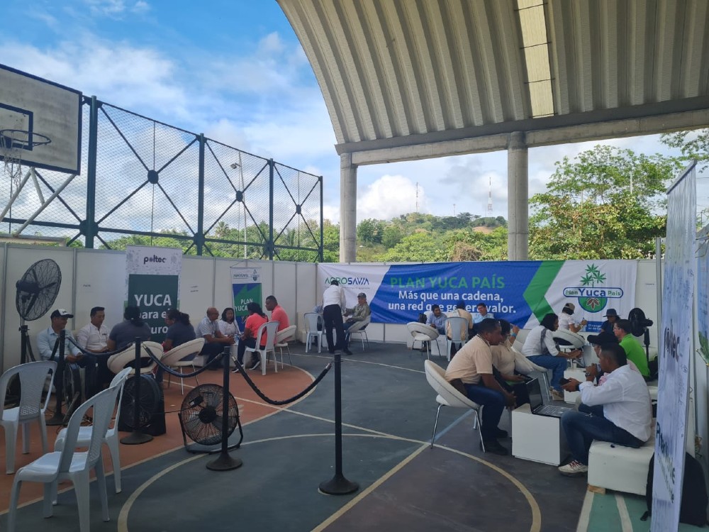 Encuentro de Actores de la Cadena de la Yuca