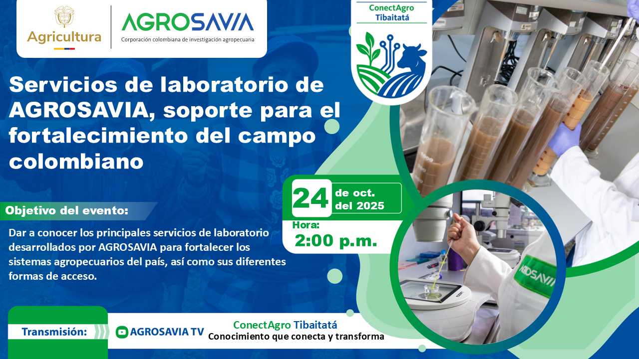 Evento 24 octubre