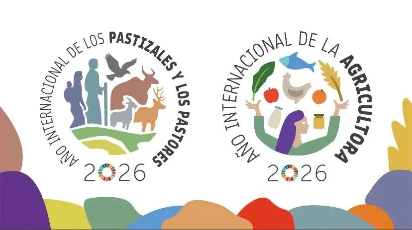 Año Internacional De La Mujer5 Fotor Webp