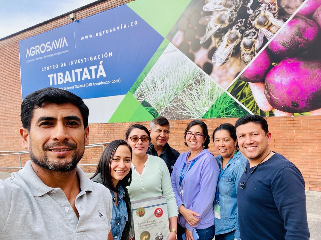 Colombia y Perú intercambian experiencias en control biológico para el manejo de Fusarium R4T en banano