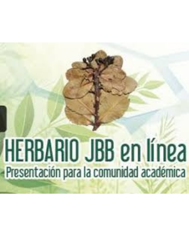 Herbario JBB Jardín Botánico