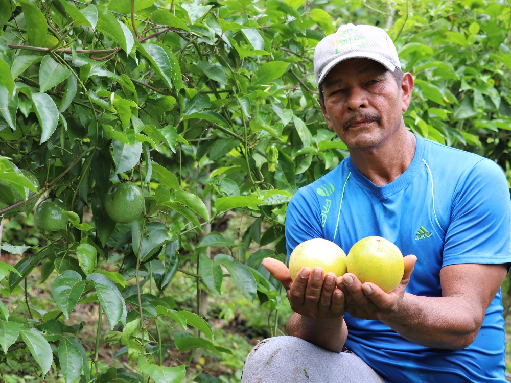 Agro Antioquia Exporta 3 AGROSAVIA