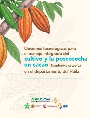 Opciones Cacao