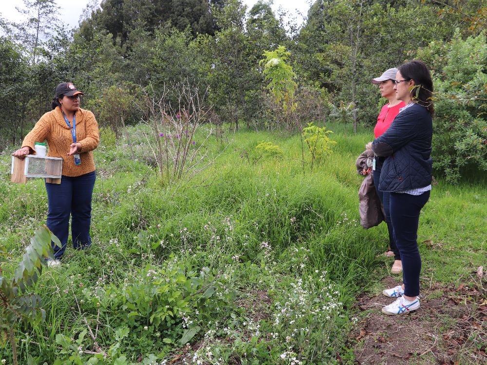 Visita Desarrollo Rural Sostenible DNP5 AGROSAVIA