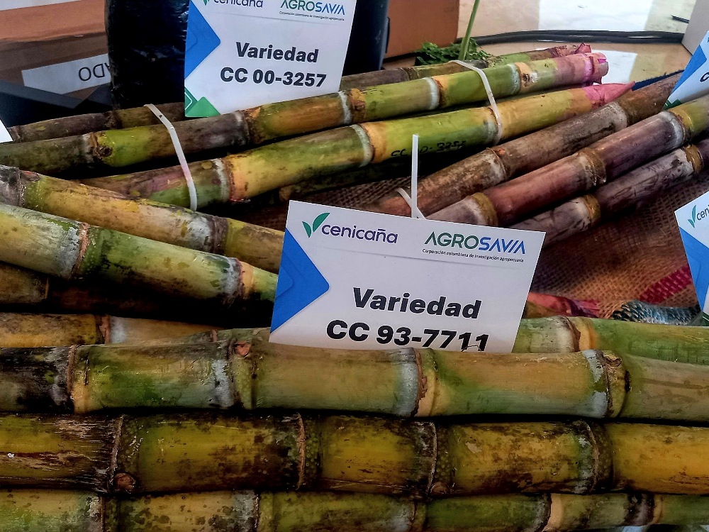 Expopanela2 AGROSAVIA