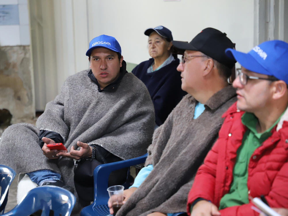 AGROSAVIA Dio A Conocer Aprovechamiento Nutricional Para Ganadería Con Cultivo De Papa4 AGROSAVIA