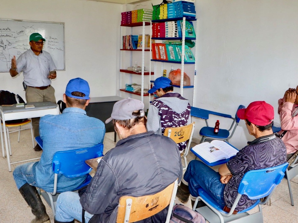 Plan Semilla Aguacate Herveo10 AGROSAVIA