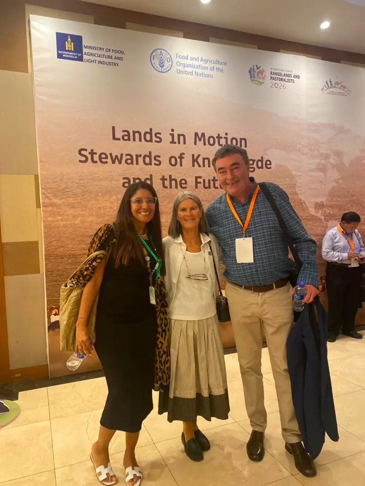 Silk Road Caravan Y La COP173 Fotor Webp