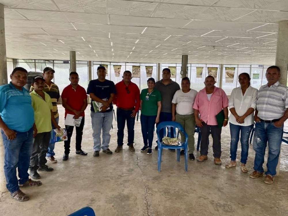 Proyecto De Ñame3 AGROSAVIA
