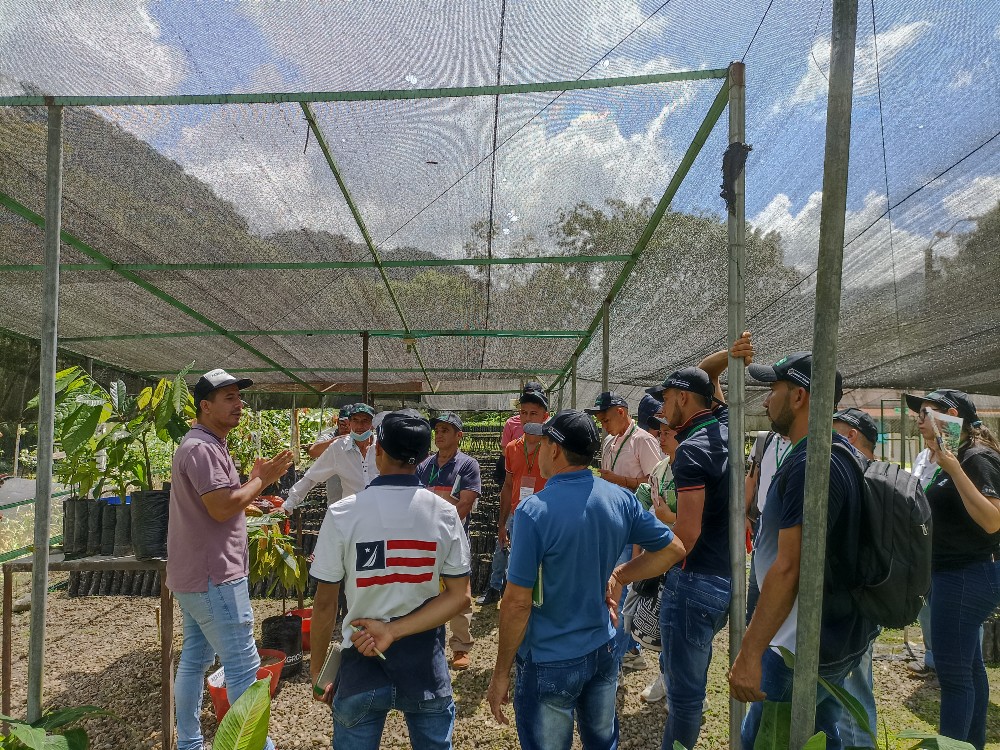 AGROSAVIA recibió visita de productores del Catatumbo en el Centro de Investigación La Suiza