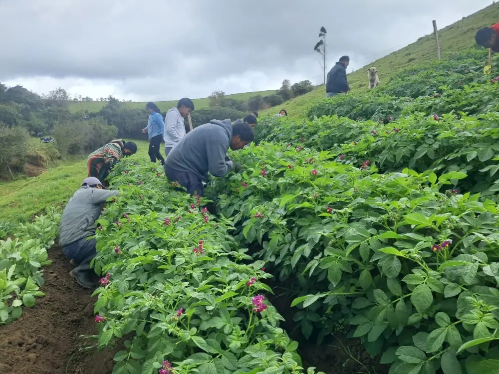 Parcelas de aprendizaje y días de campo