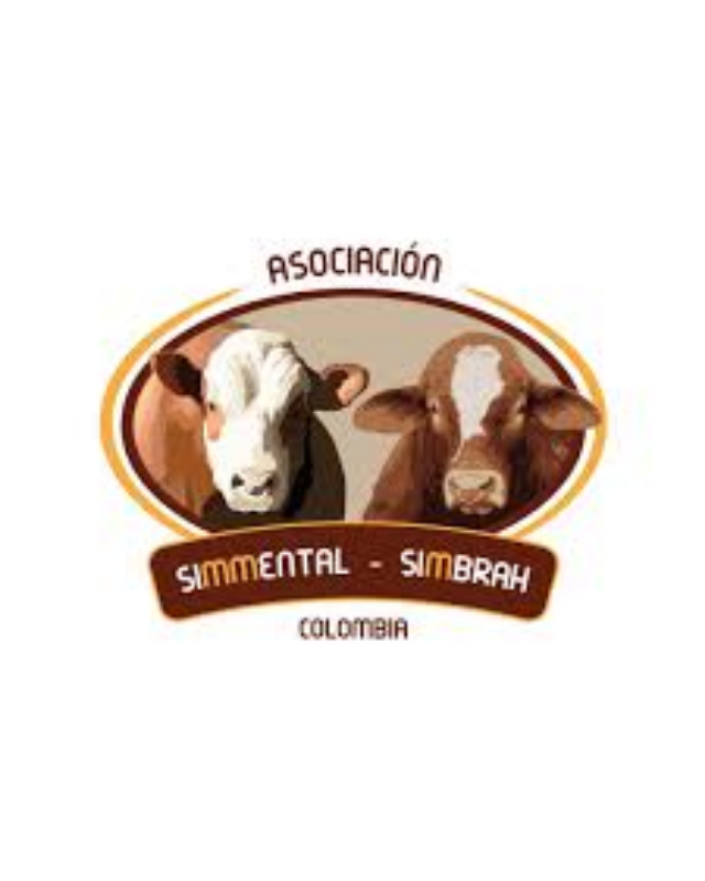 Asociación Simmental (Simbrah)
