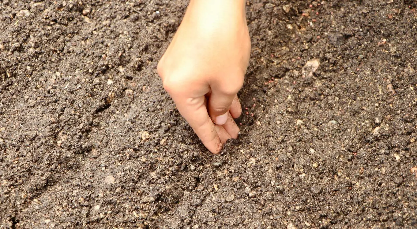 Jóvenes De Balsillas4 Fotor Webp