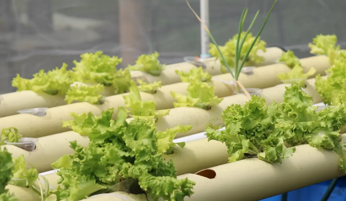 576372613 749864894782694 7595402838697901866 N Fotor 2025120211561